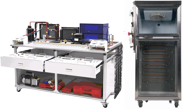 1555899204915544.jpg 2.jpg